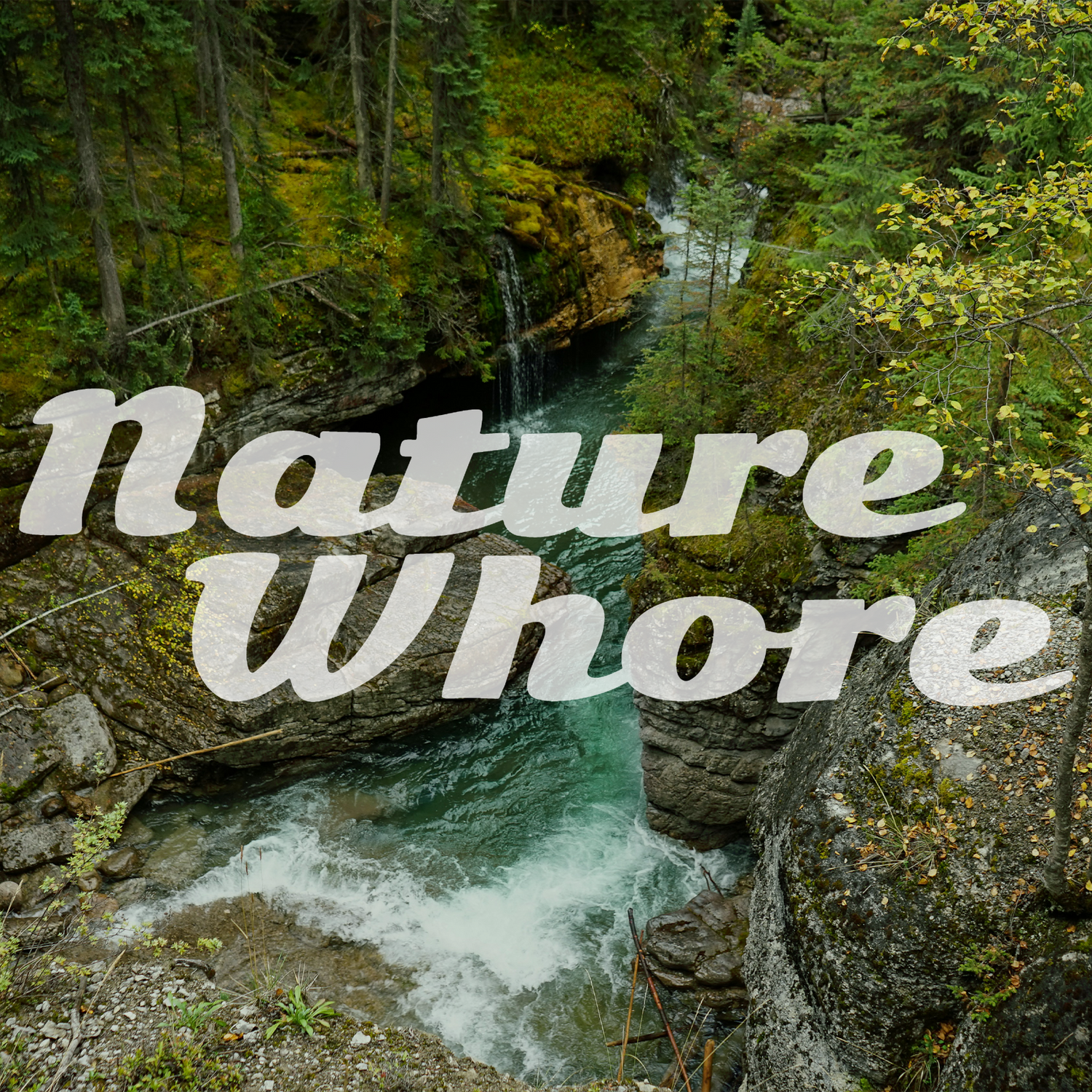 TSE NATURE WHORE. Photo by Josefina Di Battista on Unsplash.   